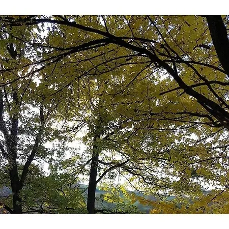 Hennesee Comfortable