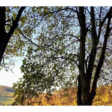 Semesterbostad Hennesee Comfortable Meschede