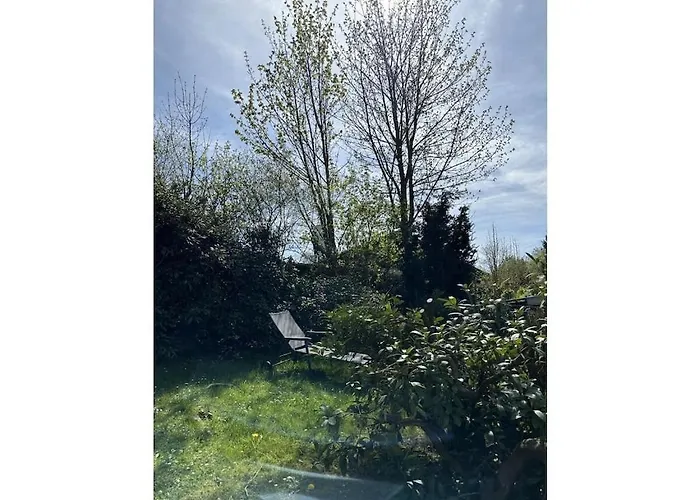 Hennesee Comfortable Meschede