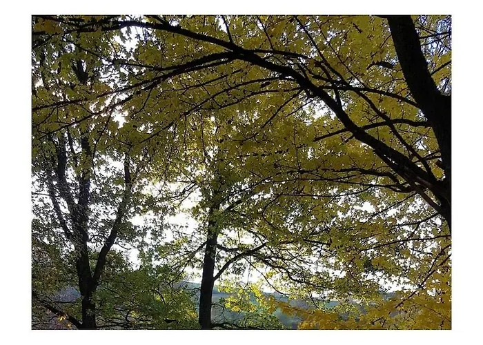 Hennesee Comfortable