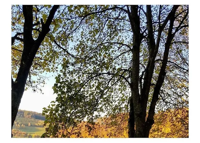 Nyaraló Hennesee Comfortable Meschede